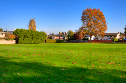 field