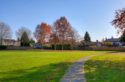 pathway