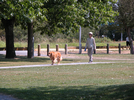 Kidd Park - dog walker on east edge of park along Shell Road