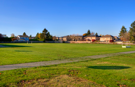 field