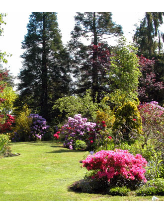 McLennan South Neighbourhood Park - east facing view of perennial garden and rhododendron borders