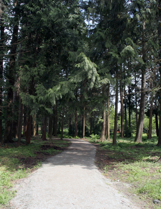 McLennan South Community Park - Trail into park from Heather Street