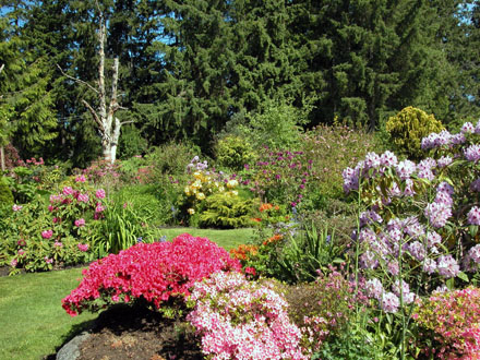 McLennan South Neighbourhood Park - north facing view of perennial garden