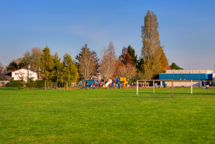 field and playground