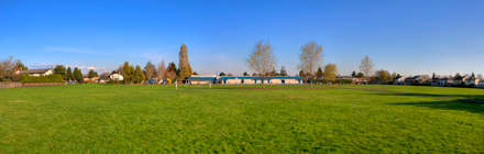 sports field