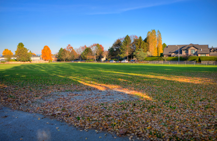 field