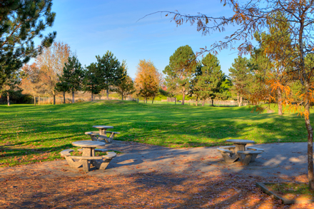 picnic tables
