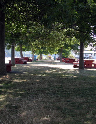 McDonald Beach - View of picnic area, facing east