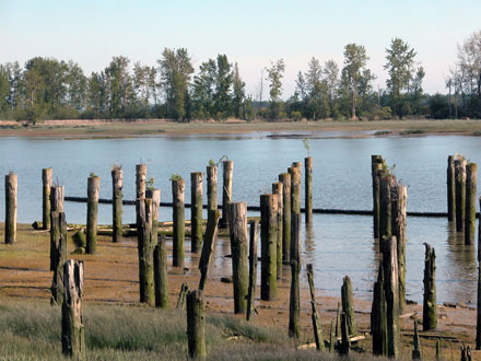 Imperial Landing Park - south facing view towards Shady Island from the park