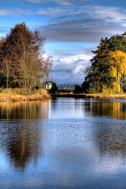 Terra Nova Rural Park - Slough and view to the north