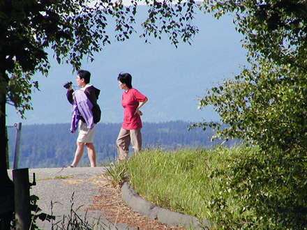 Terra Nova Rural Park - view corridors for birdwatching