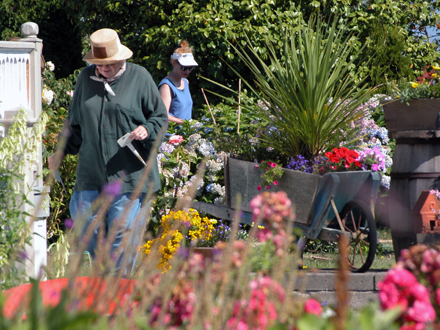 London Farm - view of garden