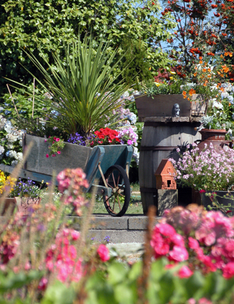 London Farm - view of garden