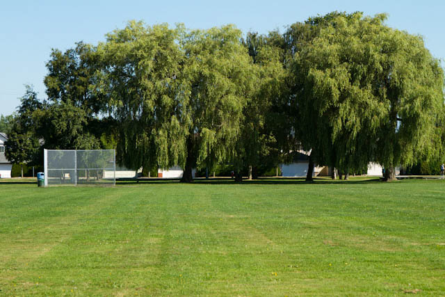 sports field