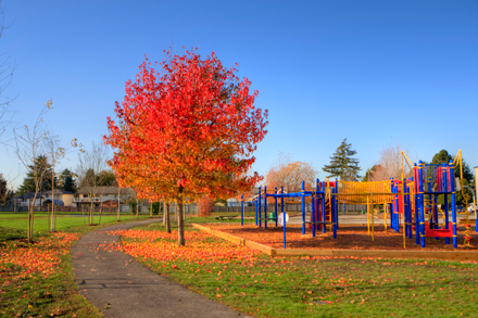 playground