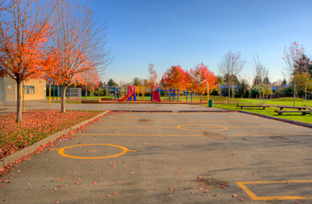 ball hockey court