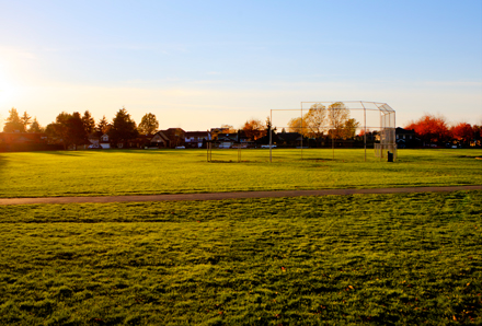 field
