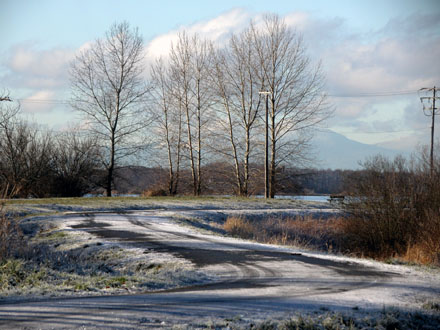 Woodward's Slough - west facing view toward entrance to park site