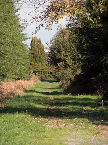 Fedoruk Kartner Park/Trail - north facing view of trail through the greenspace