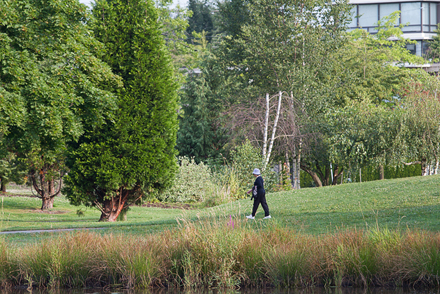 Garden City Park - Arboretum