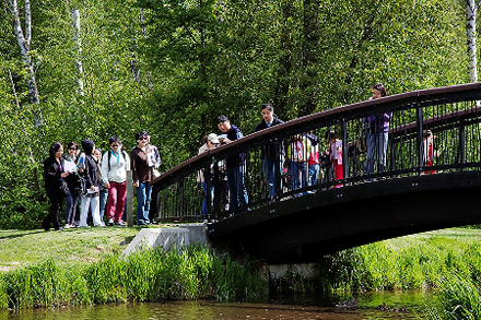 Garden City Park - bridge over pond