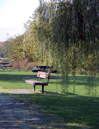 Fraserwood Park - view facing west along trail