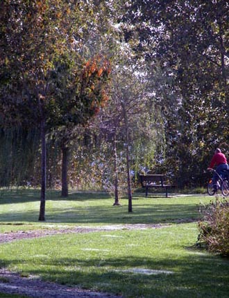 Fraserwood Park - view facing south into park