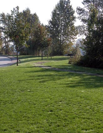 Fraserwood Park - view facing west along length of park