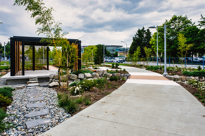 Zen Garden and pathway