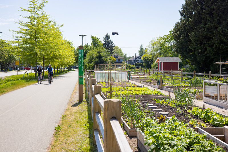 Railway Greenway community gardens