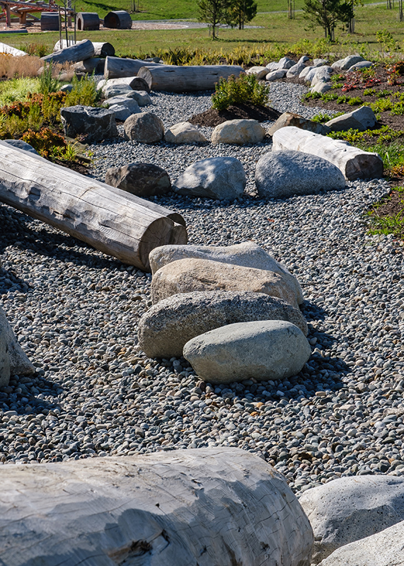 Rain Garden