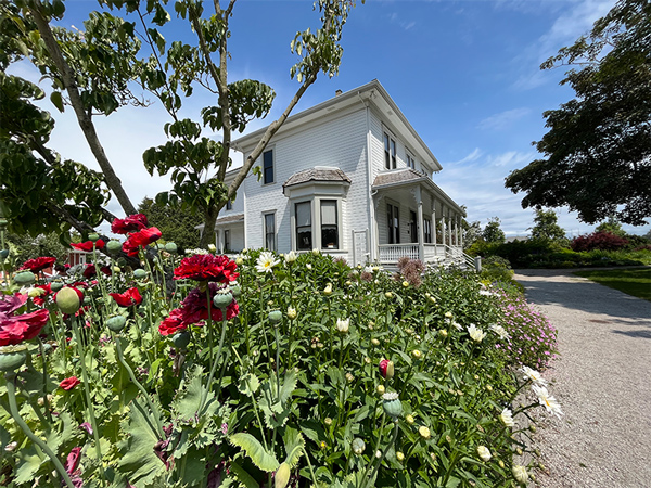 London Farm - view of the farm house