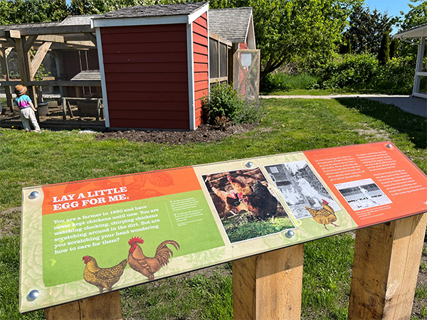 London Farm - chicken coop