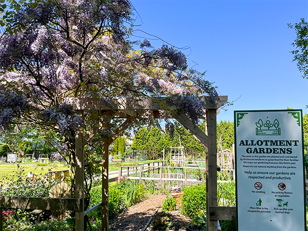 London Farm - Community Allotment Gardens